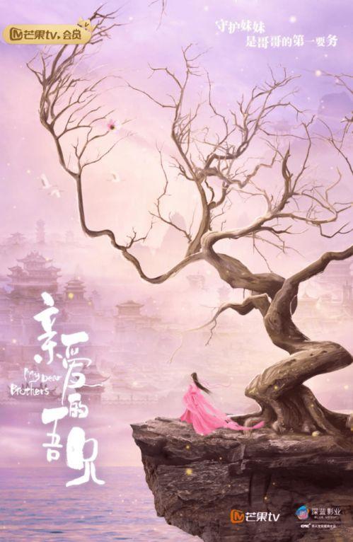 贺先生又在哄他的白月光了,甜蜜互动引网友热议