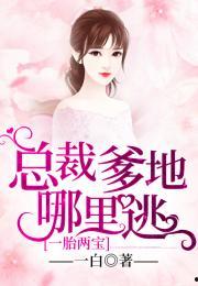 一胎四宝：总裁爹地哪里逃,总裁爹地，甜蜜逃婚记