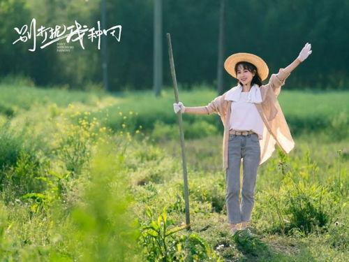 别打扰我种田,远离喧嚣，沉浸“别打扰我种田”的宁静时光