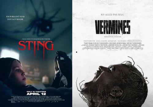 屋中异蛛,揭秘神秘生物的生存智慧